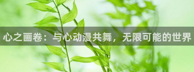 风车动漫_专注动漫的