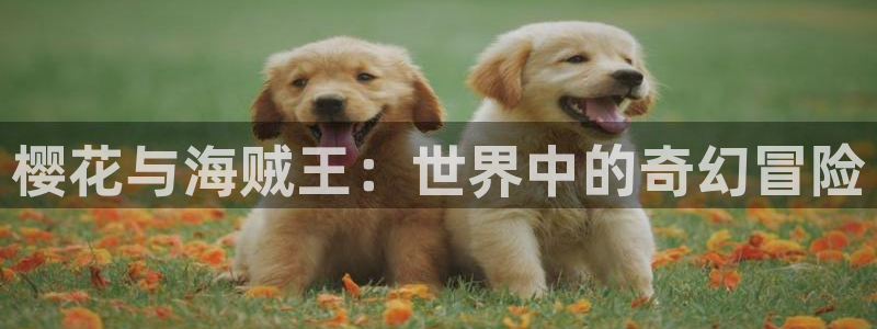 风车动漫 专注动漫的门户