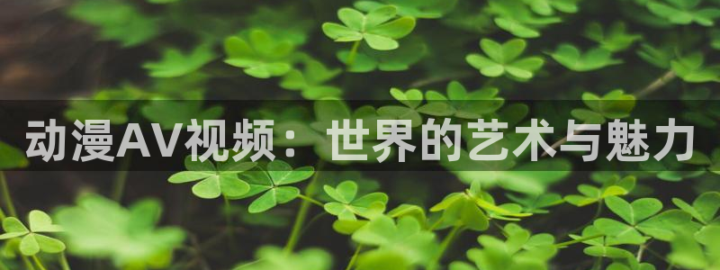overflow风车动漫6