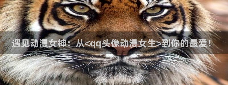 风车动漫(p)_专注动漫的