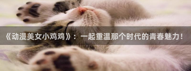 风车动漫图
