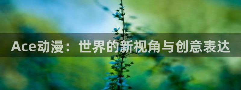 夜游生活风车动漫