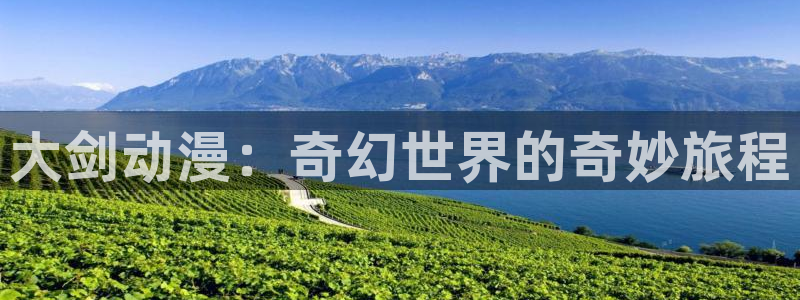 风车动漫应用