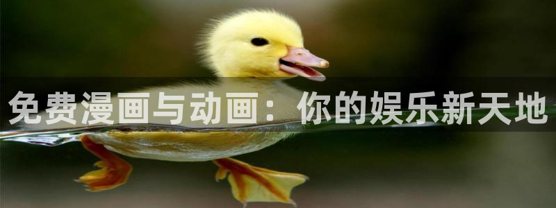 棺姬嘉依卡风车动漫