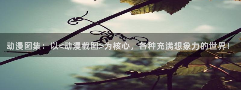 竞女风车动漫
