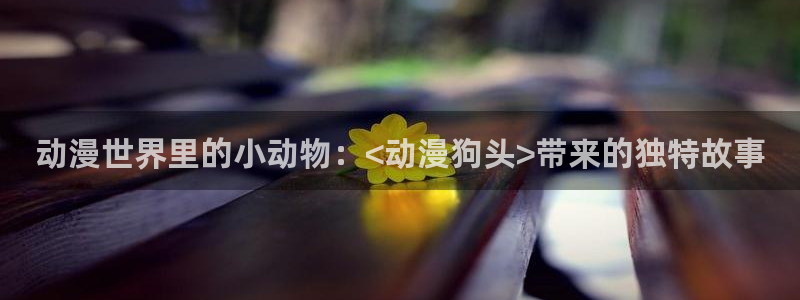 风车动漫网在线：动漫世界里的小动物：<动漫狗头>带来的独特故事