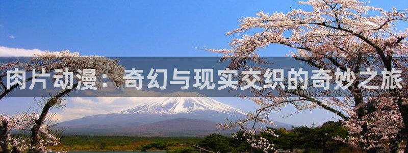 风车动漫p专注动漫门户网站：肉片动漫：奇幻与现实交织的奇妙之旅