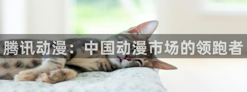 游戏人生风车动漫：腾讯动漫：中国动漫市场的领跑者