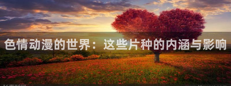 风车动漫怎么看：色情动漫的世界：这些片种的内涵与影响