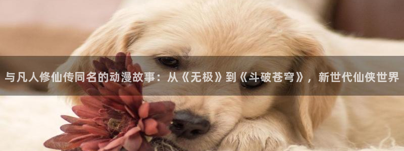 风车动漫你：与凡人修仙传同名的动漫故事：从《无极》到《斗破苍穹》，新世代仙侠世界