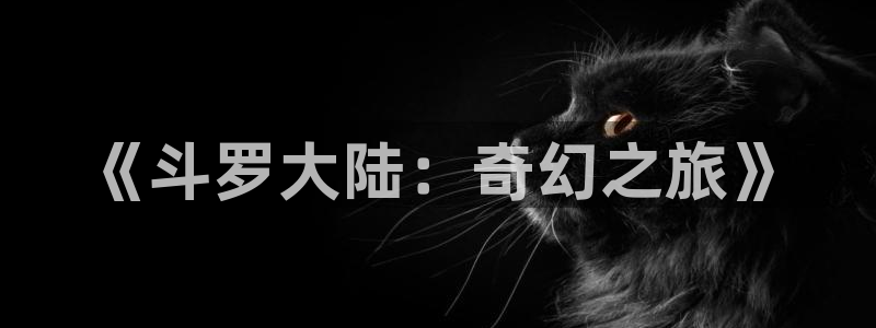风车动漫网手机版：《斗罗大陆：奇幻之旅》