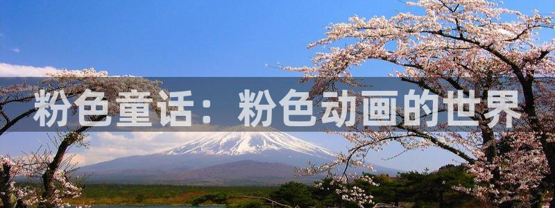 风车动漫美国剧