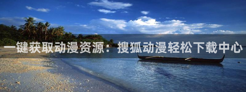 风车动漫间谍过家家