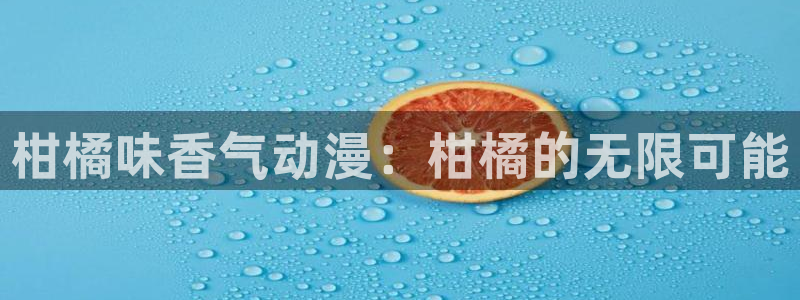 风车动漫在线观看全集免费高清版