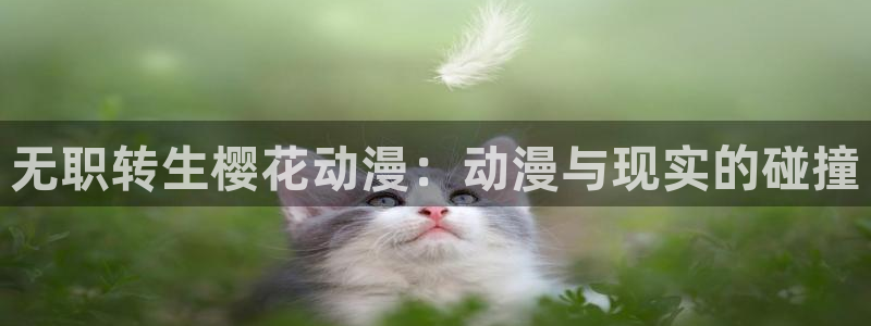 风车动漫网在线看