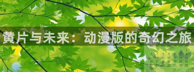 风车动漫(p)_专注动漫的门户网站