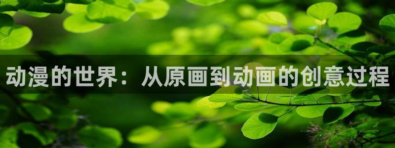 风车动漫在线免费观看