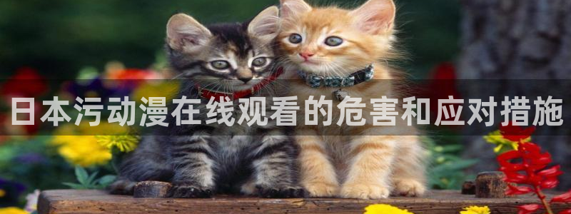 风车动漫(p)_专注动漫的门