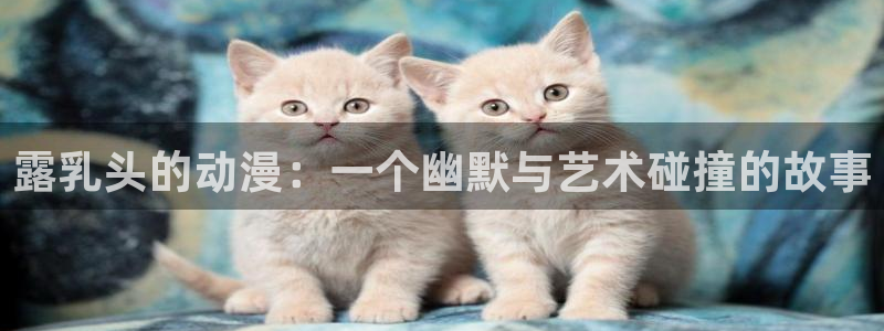 风车动漫视频在线观看
