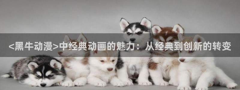 风车动漫在线高清免费观看