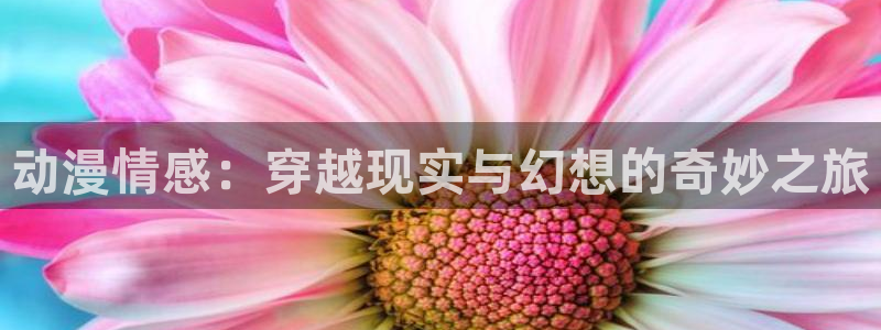 风车动漫你