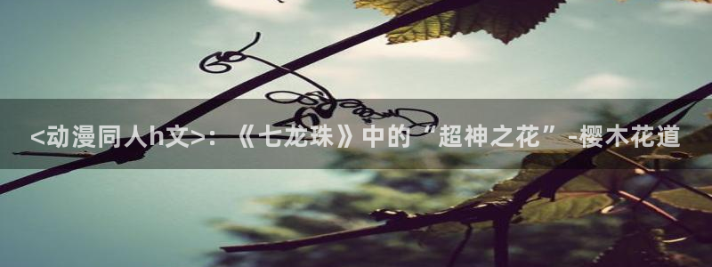 风车动漫网站手机版