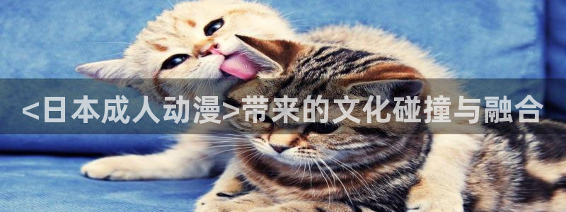 风车动漫在线观看手机版