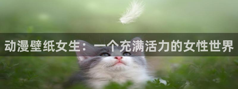 风车动漫(p)在线观看免费