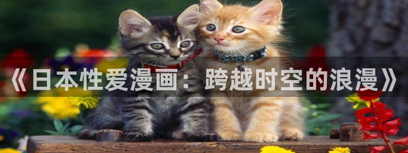 风车动漫在线观看免费资源