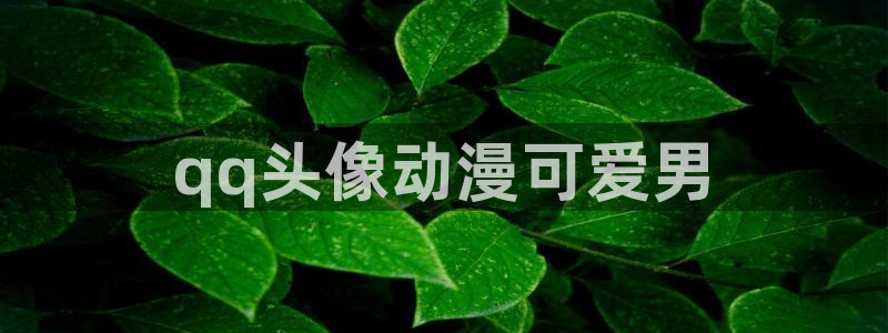 f风车动漫