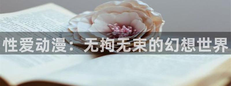风车动漫 在线
