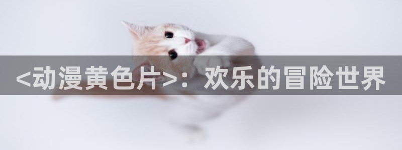 大王饶命风车动漫