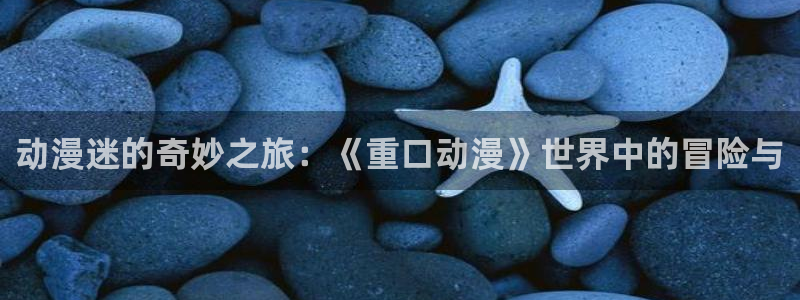 风车动漫11
