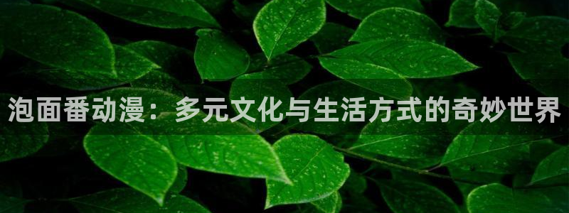 风车动漫正版官网