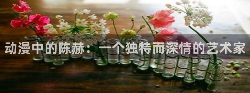 风车动漫dm530p专注动漫的门户