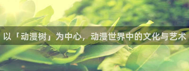 风车动漫网手机在线观看