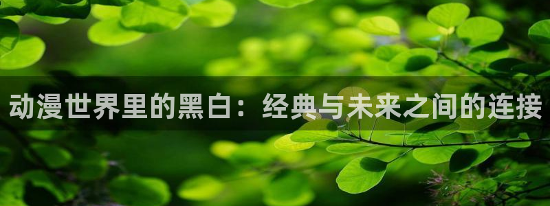风车动漫动漫星空