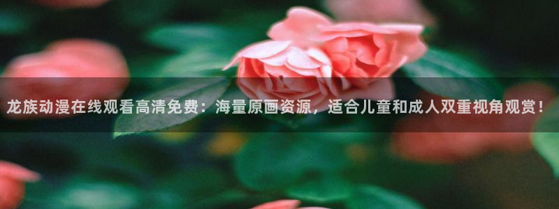 风车动漫 手机