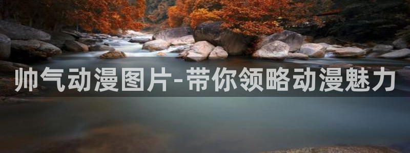风车动漫网p