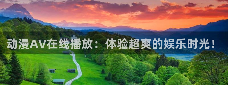 风车动漫官网入门