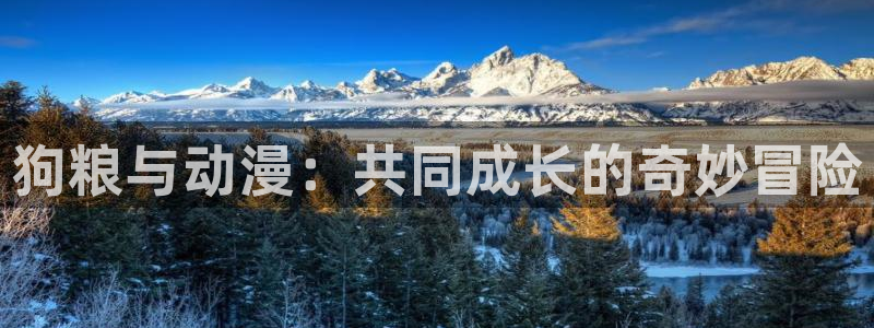 龙族风车动漫