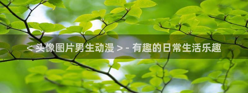 风车动漫手机版