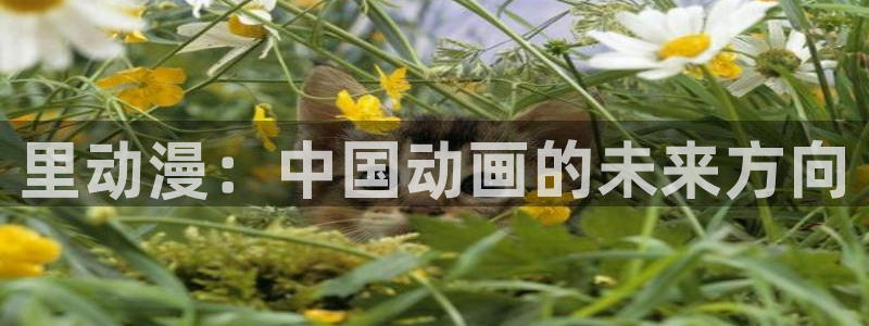 风车动漫网免费