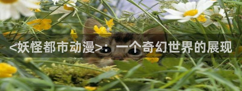 风车动漫dm190：<妖怪都市动漫>：一个奇幻世界的展现