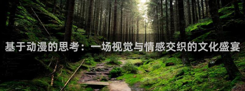 风车动漫肉：基于动漫的思考：一场视觉与情感交织的文化盛宴