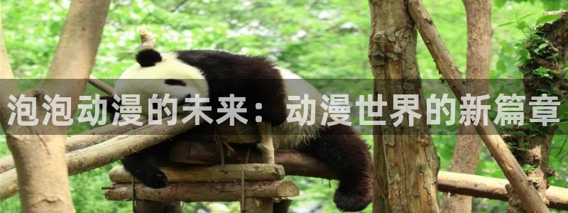 动漫风车风车动漫：泡泡动漫的未来：动漫世界的新篇章