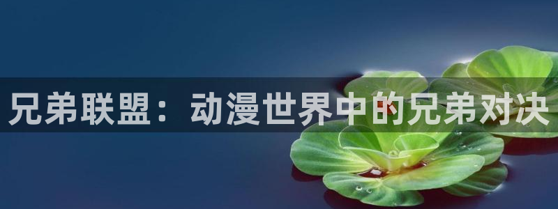 风车动漫吧：兄弟联盟：动漫世界中的兄弟对决