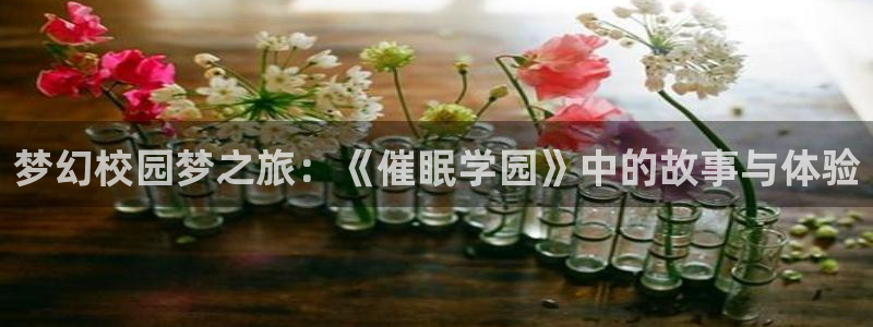 国家队02风车动漫