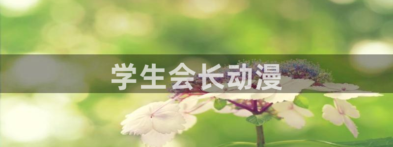 风车动漫网专注动漫门户网站