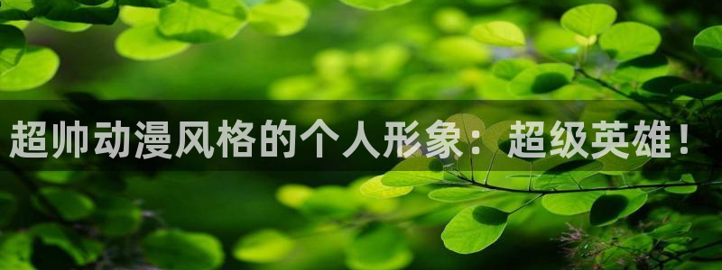 手机风车动漫